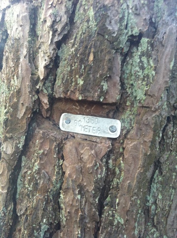 20110423-102951.jpg